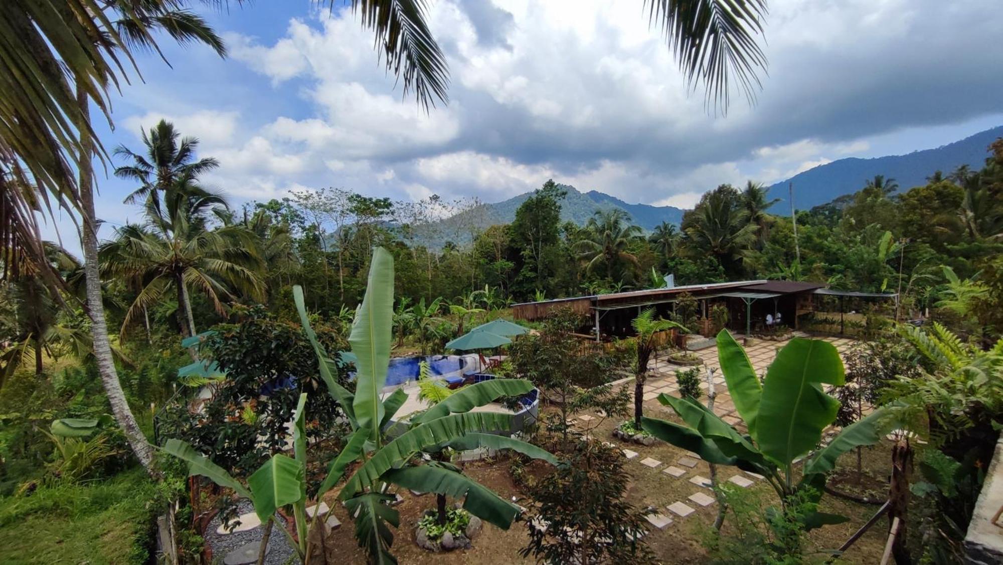 Sekumpul Bali Hidden Space Singaraja エクステリア 写真